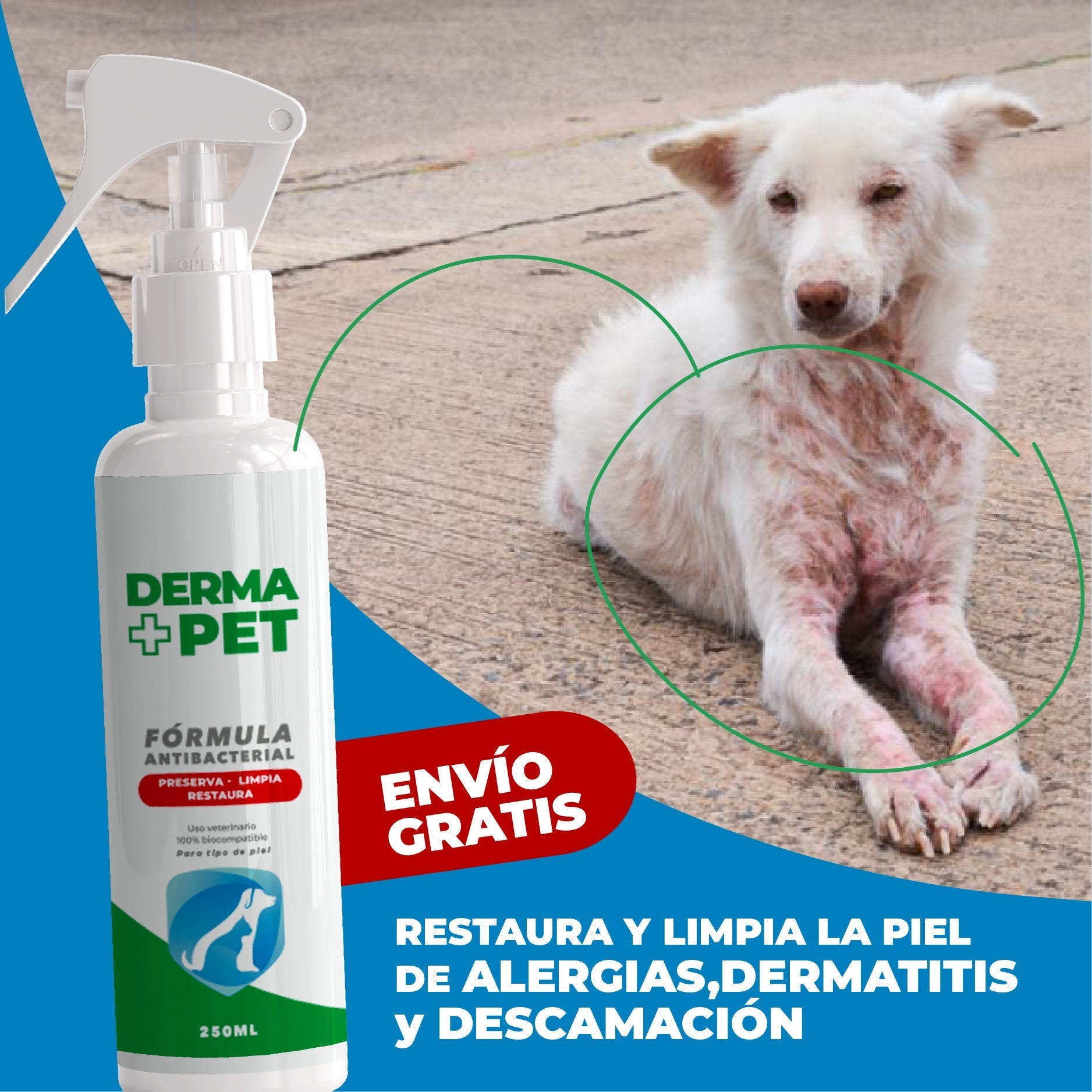 REVOLUCIONARIO DERMAPET